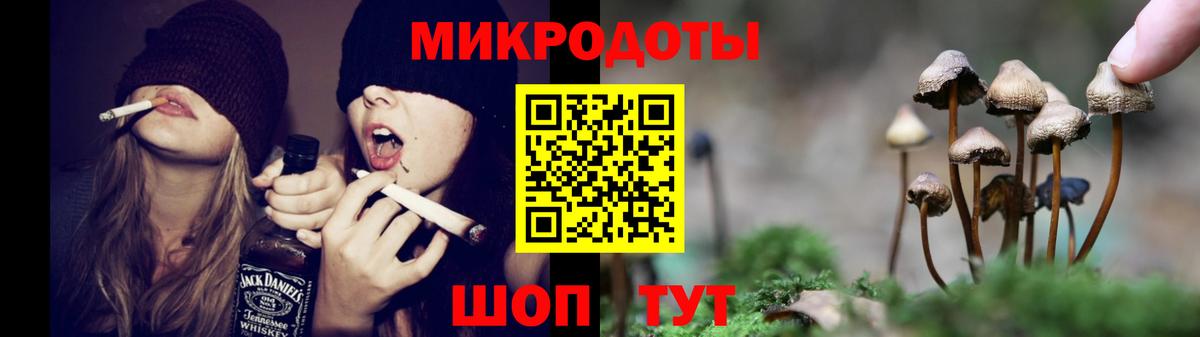 Луга  Галлюциногенные грибы мухоморы  Вход с VPN  Галлюциногенные грибы прущие грибы 